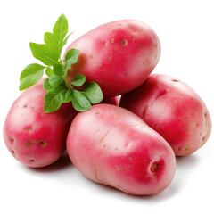 Poster - Fingerling Potatoes Isolated