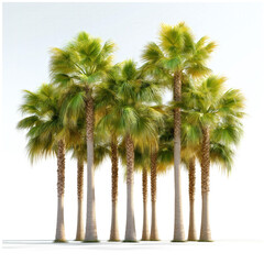 Sticker - Palm Trees Isolated Row