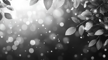 Poster - 3D rendering of soft light bokeh effects created by leaves in a natural spring abstract background monochrome