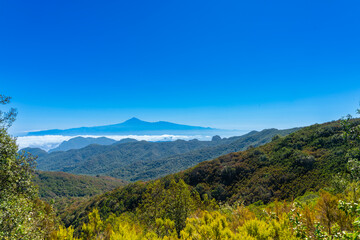 Garajonay forest in La Gomera, with the island of Tenerife in the background