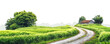© Yeti Studio - Countryside road in lush grassy landscape, cut out