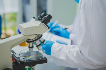 In this chemical experiment, two researchers collaborate to mix reactants, carefully observe changes such as color shifts or gas production, and analyze results, demonstrating principles of chemistry