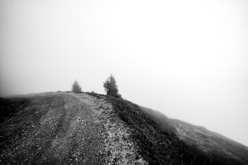 Black and white landscape on a cloudy foggy morning.
