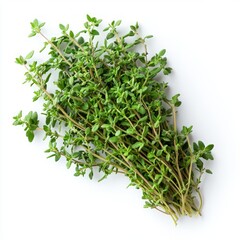 Sticker - Fresh green thyme sprig isolated on white background.