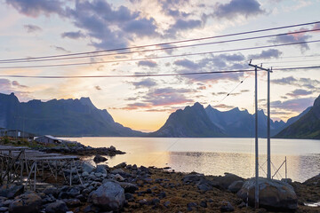 Typical Rourbuer fishing cabins in Lofoten Nusfjord village on a beautiful day, summertime. Traditional norwegian red houses