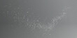 © Sergey - Christmas background. Powder dust light white PNG. Magic shining white dust. Fine, shiny dust particles fall off slightly. Fantastic shimmer effect.
