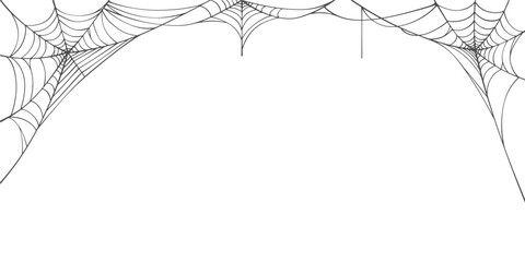 Wall Mural - Spider web line art vector