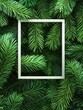 © Business Pics - Holiday background with frame in the middle of evergreen tree branches, christmas and festive season concept, minimalistic design, copy space