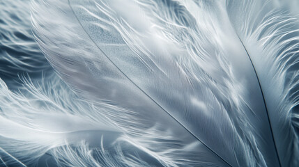 Canvas Print - feathers texture background