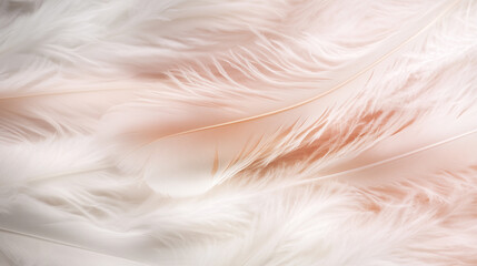 feathers texture background