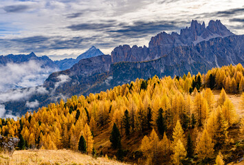 Canvas Print - cinque torri