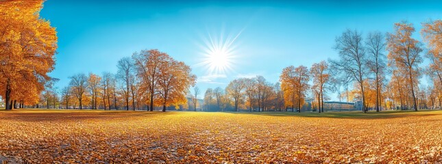 Wall Mural - Natural autumn landscape with yellow and orange fall leaves amidst a blurred natural park and blue skies.