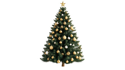 christmas tree on a transparent white background