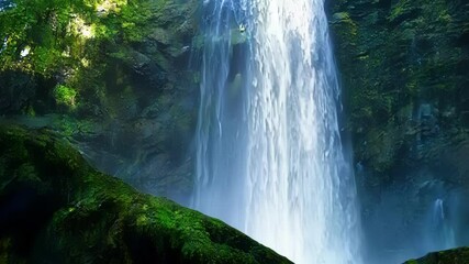 Aufkleber - Serene waterfall flows through a lush green forest, inviting exploration