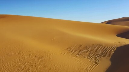 Poster - Smooth sand dunes are extending as far as the eye can see, creating a mesmerizing pattern sculpted by the wind under a clear blue sky