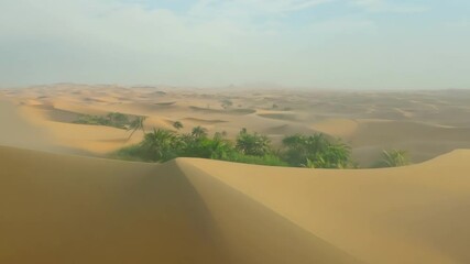 Poster - Serene desert scene with hazy dunes, blowing sand, and distant trees invites exploration and adventure in a remote and peaceful setting