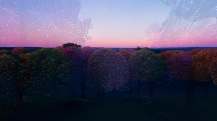 Poster - Dirt path is leading through glowing trees at night while fireflies are flying around and illuminating the scenery with their bioluminescence