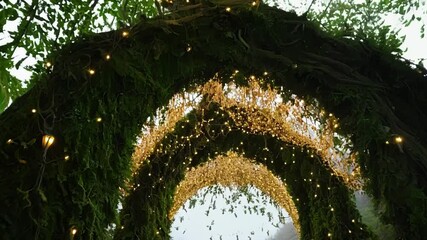 Aufkleber - Glowing string lights are woven through the branches of a lush forest canopy, creating a magical and enchanting atmosphere