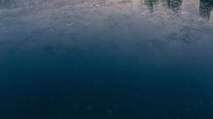 Aufkleber - Sunlight illuminates the deep blue seabed, creating a captivating underwater scene. The serene and tranquil nature of this world is mesmerizing, with a dreamlike atmosphere