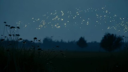 Aufkleber - Fireflies gracefully fly over a meadow on a summer evening, creating a magical twilight scene that feels like a fairytale