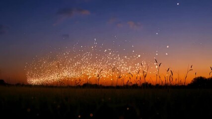 Aufkleber - Magical lights flow over a grassy field at sunset, blending warm colors with golden hues, creating a mesmerizing and enchanting scene