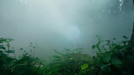 Wall Mural - Mysterious glowing flower is blooming inside a greenhouse full of lush vegetation. The misty atmosphere adds to the magical and enchanting feeling