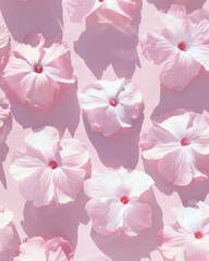 Poster - Pastel Pink Pattern of Flowers on Soft Pink Background, Consistent Spacing and Shadows, Dreamy and Surreal Daytime Feel, Simple Clean Composition