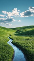 Poster - A long, narrow river runs through a lush green field