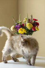 Bouquet of flowers on table, cat standing in front, blurred image