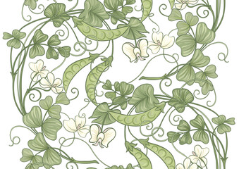 Wall Mural - Green peas. Branch with leaves and pods with peas.. Seamless border pattern, linear ornament, ribbon Vector illustration. Outline hand drawing. In art nouveau style, vintage, old, retro style.