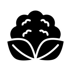 Wall Mural - Cauliflower Vector Glyph Icon Design