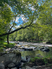 river with rocks and trees