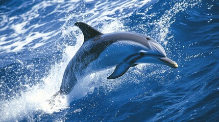 Aufkleber - A dolphin diving back into the deep blue sea, with its tail fin raised high and the ocean waves gently rippling around, capturing a moment of natural beauty and grace