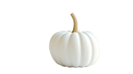 White pumpkin on transparent white background