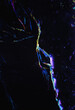 © Pansfun Images/Stocksy - micograph of Ibuprofen suspension crystals