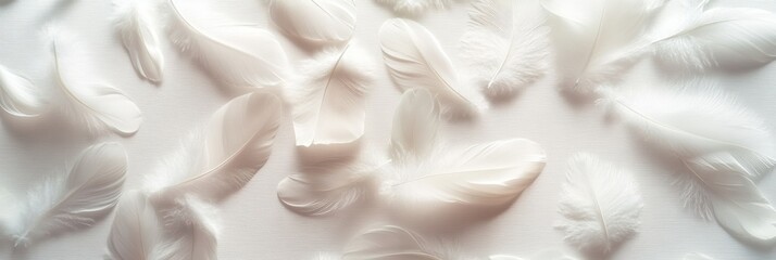 Wall Mural - Delicate white feathers are arranged in a scattered pattern against a soft, light background, highlighting their gentle texture and subtle beauty, perfect for creative projects