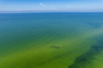 Uzava, Latvia - August 06, 2024. Shallow water of Baltic sea with sand and water grass structure by lighthouse