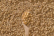 © Marc Tran/Stocksy - Wooden Spoon Filled with Soybeans Against Soybean Background