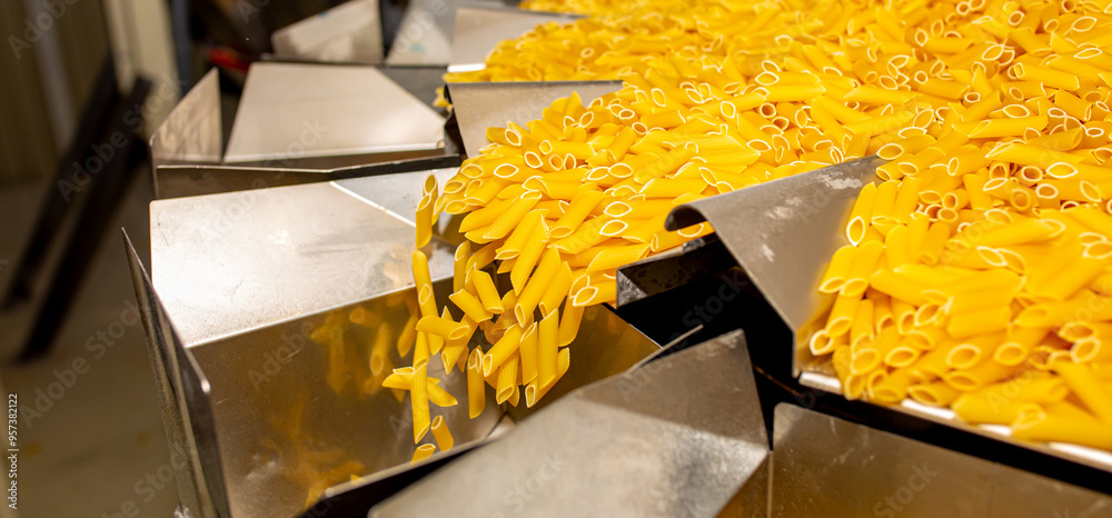 Pasta factory. Close-up of raw pasta on machines and conveyor. Pasta ...