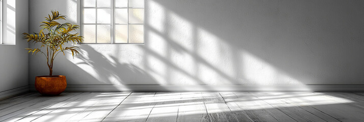 Wall Mural - Sunlight streams through a window in a white room, illuminating the floor and a potted plant in the corner.