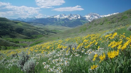 Poster -  A mountain meadow blanketed with vibrant blooms, framed by towering peaks veiled in fresh snow