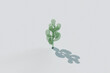 © Giada Canu/Stocksy - Transparent Plant with Shadow