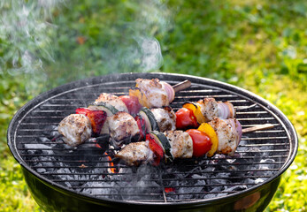 chicken meat and vegetable skewers