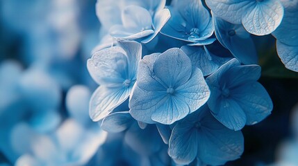 Poster -   A detailed photo of a cluster of flowers, with blue blooms occupying the focal point and positioned at the image's center