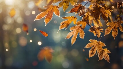 Autumn leaves shimmer in the afternoon light, capturing the beauty of the changing season