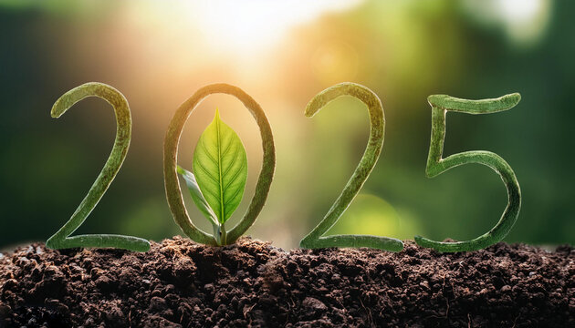 Numbers 2025 from green leaves background of nature. Eco-friendly Christmas banner for environmental protection