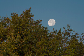 La luna all’alba in montagna ad agosto