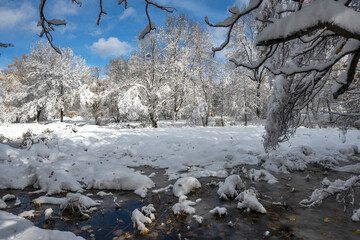 Landscape of South Park in city of Sofia, Bulgaria