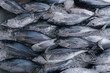 © Chalit Saphaphak/Stocksy - Fish in the market.