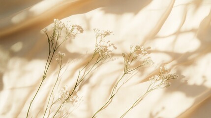 Canvas Print - Gentle Floral Shadows